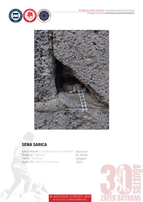 SENA SARICA